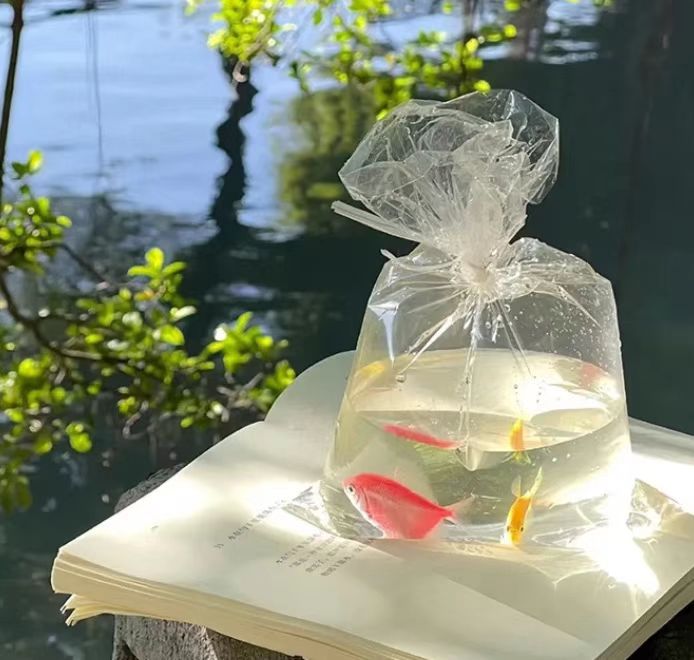 想成为销冠 想成为销冠